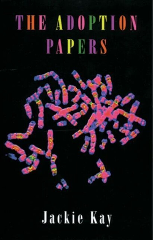 The Adoption Papers av Jackie Kay