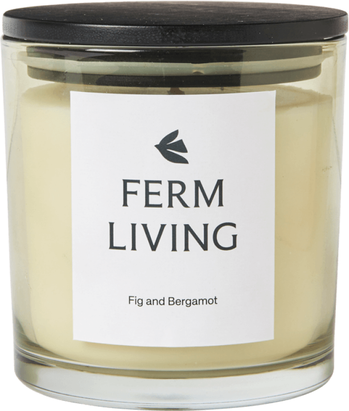 Vitto duftlys 45 t Light Celedon