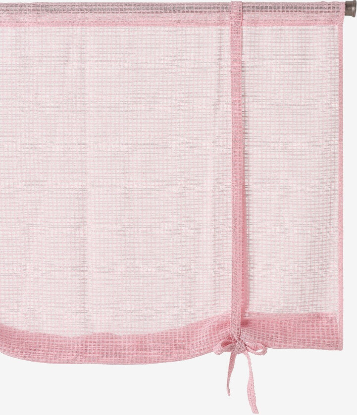 Roll up-gardin Edda - Rosa