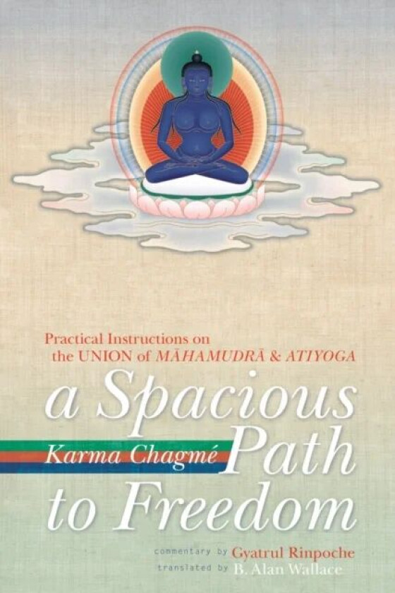 A Spacious Path to Freedom av Karma Chagme