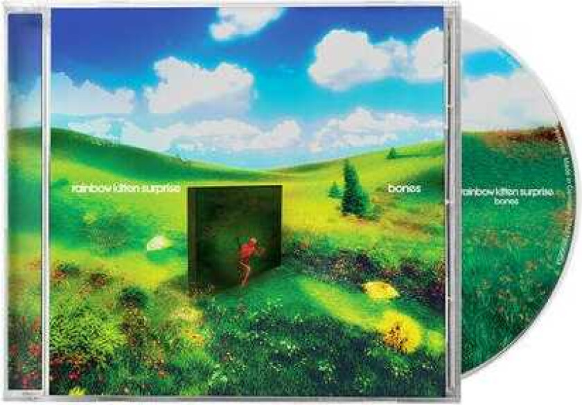 Rainbow Kitten Surprise bones CD