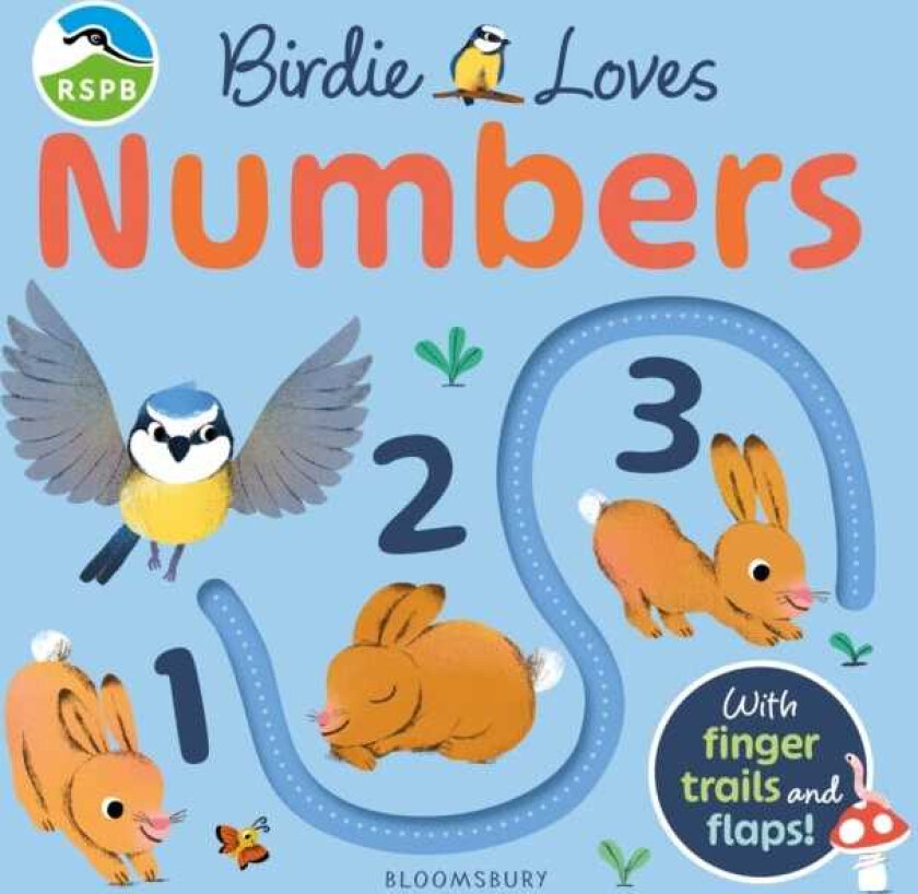 RSPB Birdie Loves Numbers