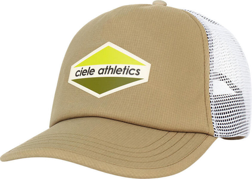TRLCapSC Field UpDown canvas M/L