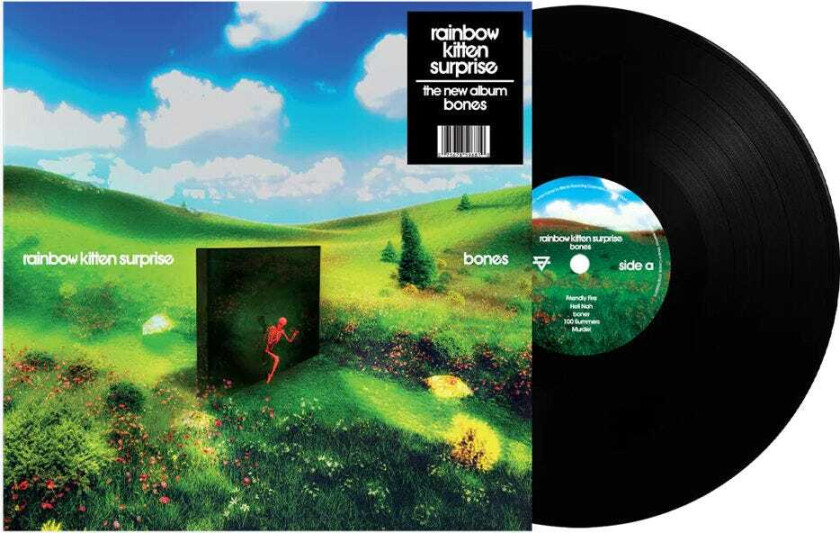 Rainbow Kitten Surprise bones LP/Vinyl