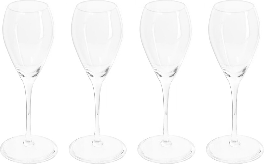 Champagneglass 30 cl, 4-pakning
