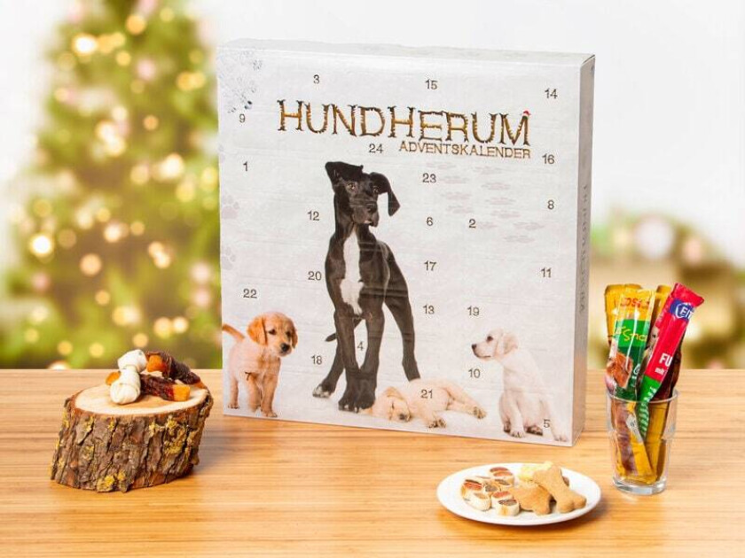 Julekalender med hundegodteri