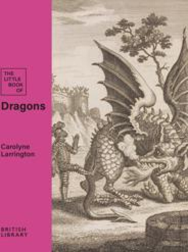 The Little Book of Dragons