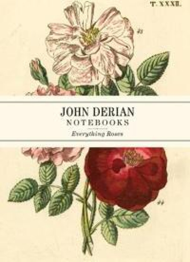 John Derian Paper Goods: Everything Roses Notebooks