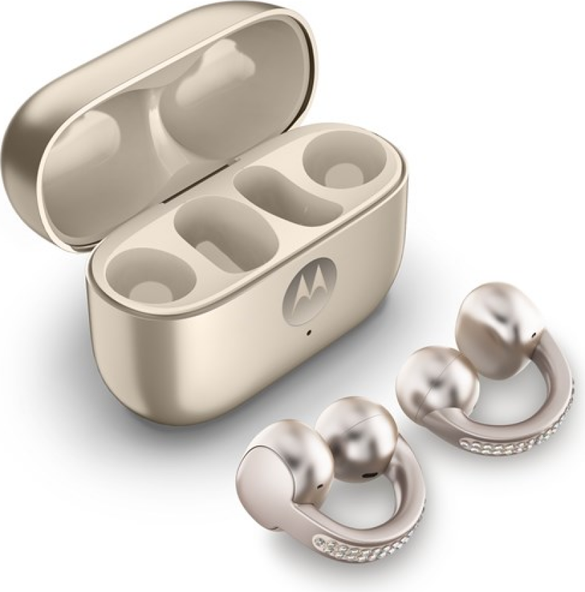 Moto Buds Loop - Swarowski French Oak