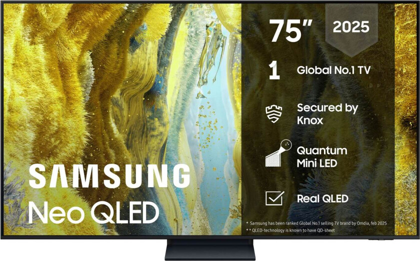 75" QN73F Neo QLED 4K Mini LED Smart TV (2025)