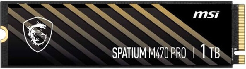 Spatium M470 Pro M.2 intern SSD (1TB)