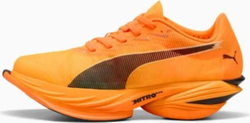 Fast-R Nitro Elite 3