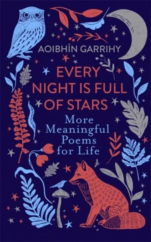 Every Night is Full of Stars av Aoibhin Garrihy