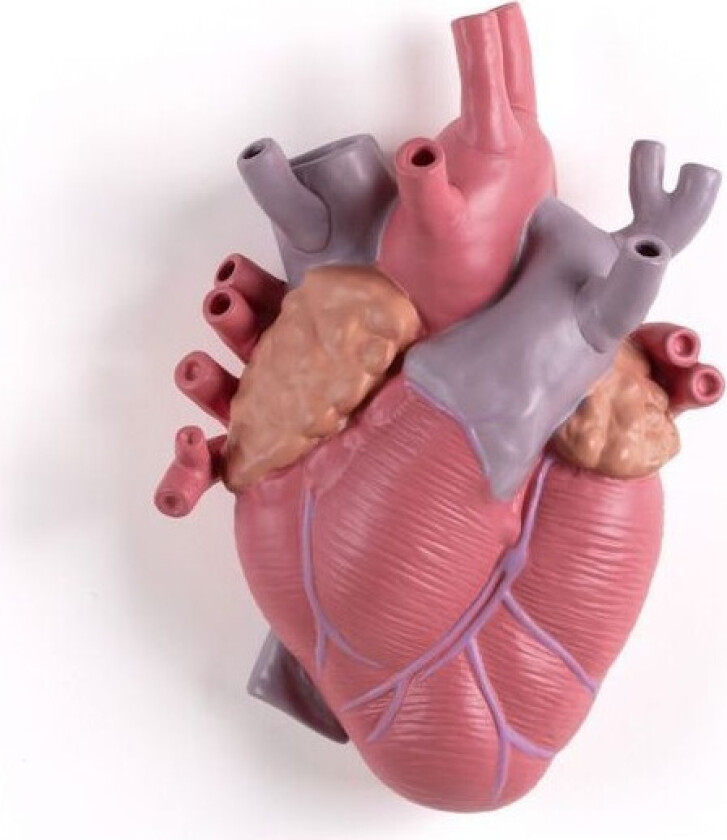 - Love In Bloom Color Porcelain Heart Vase