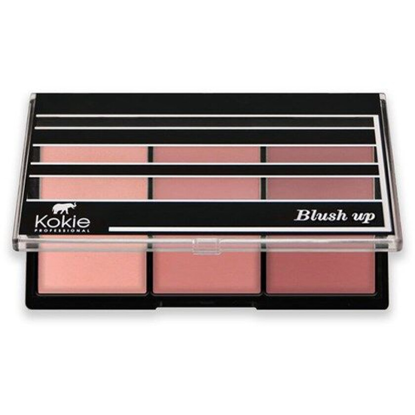 Blush Up Blush Palette Demure