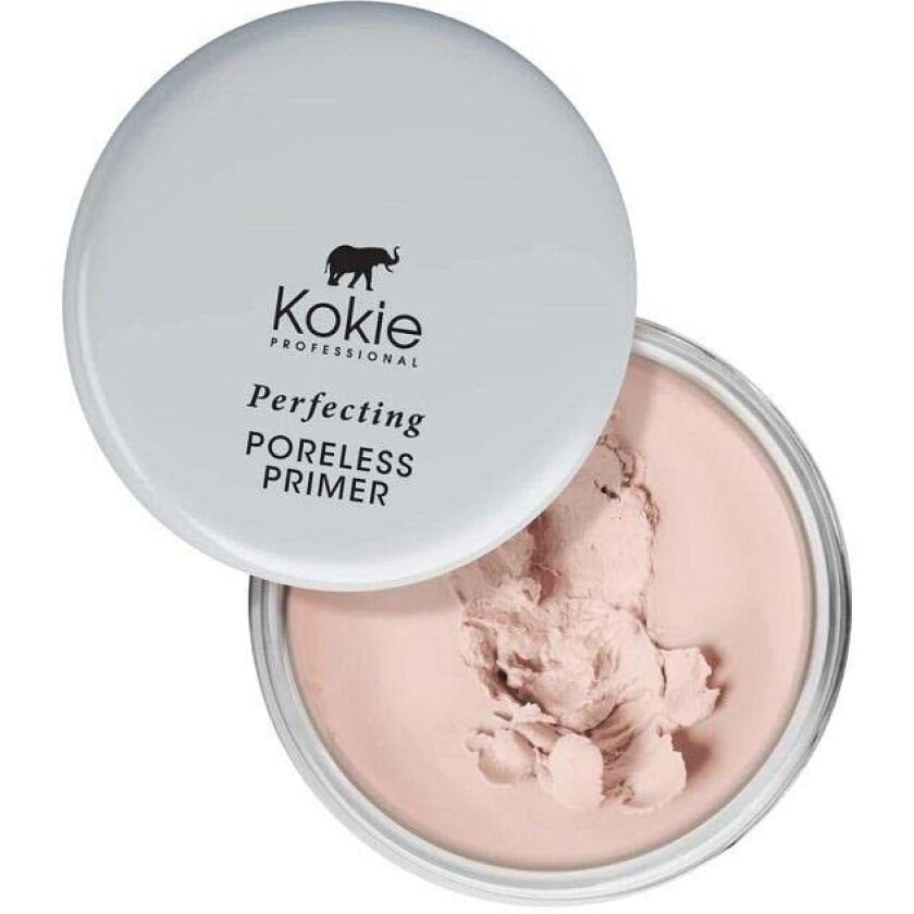 Original Perfecting Poreless Primer