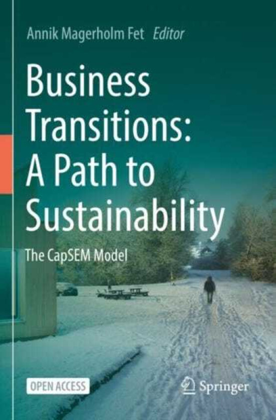 Business Transitions: A Path to Sustainability The CapSEM Model