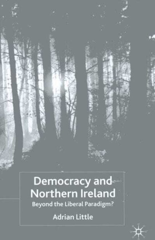 Democracy and Northern Ireland Beyond the Liberal Paradigm?