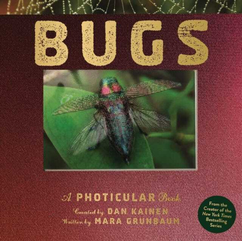 Bugs A Photicular Book