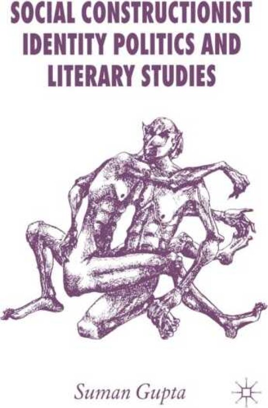 Social Constructionist Identity Politics and Literary Studies