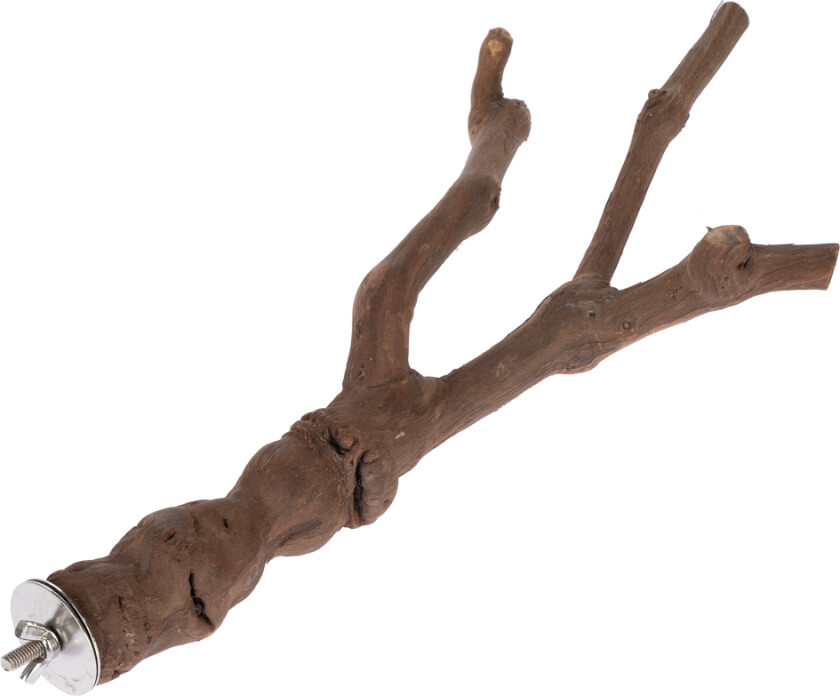 Y-formet fuglesittepinne av vinranke - Størrelse XL: ca. Ø 3,5 x L 40 cm