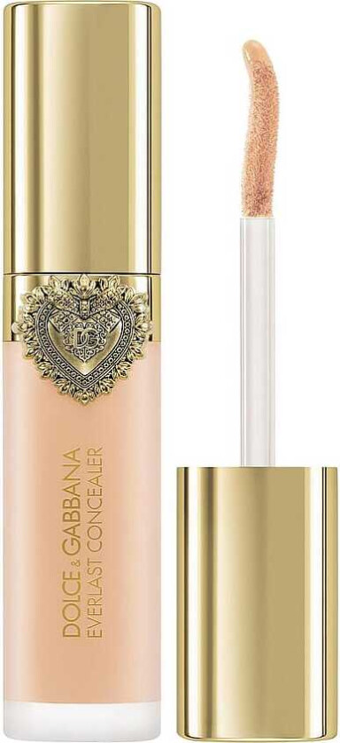 Everlast Concealer 24H Wear Crease-Proof Hydrating 08 Light