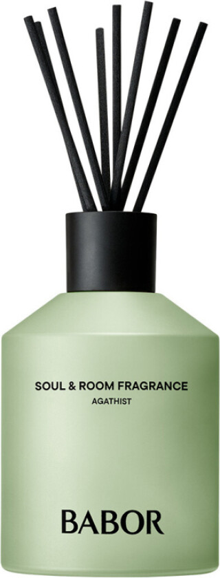 Soul & Room Fragrance Agathist (220 ml)