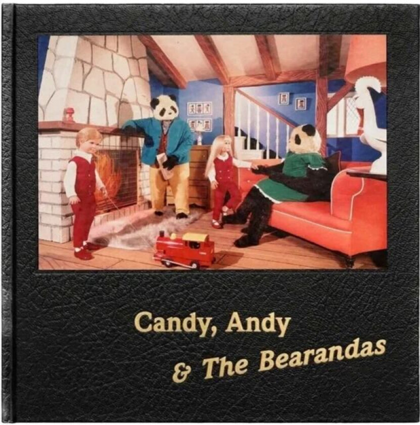 Candy, Andy & The Bearandas av Alan Dein