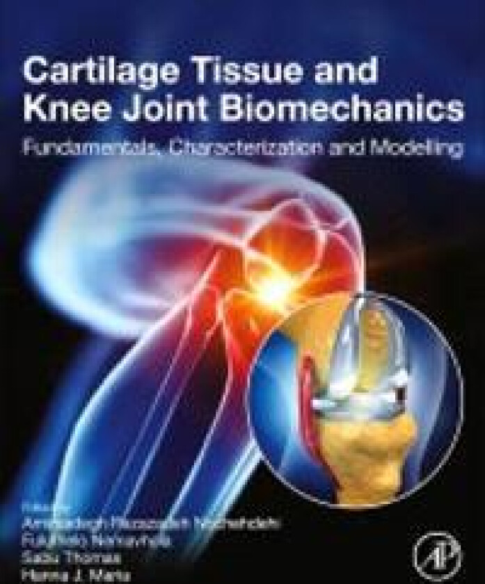 Cartilage Tissue and Knee Joint Biomechanics