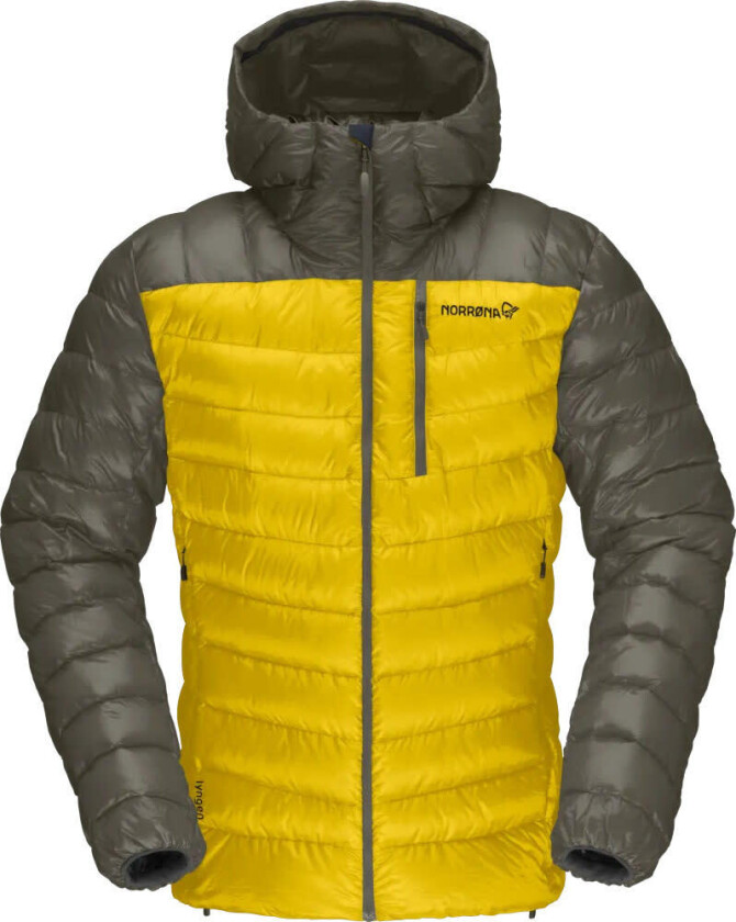 Men's Lyngen Down850 Hood Golden Palm
