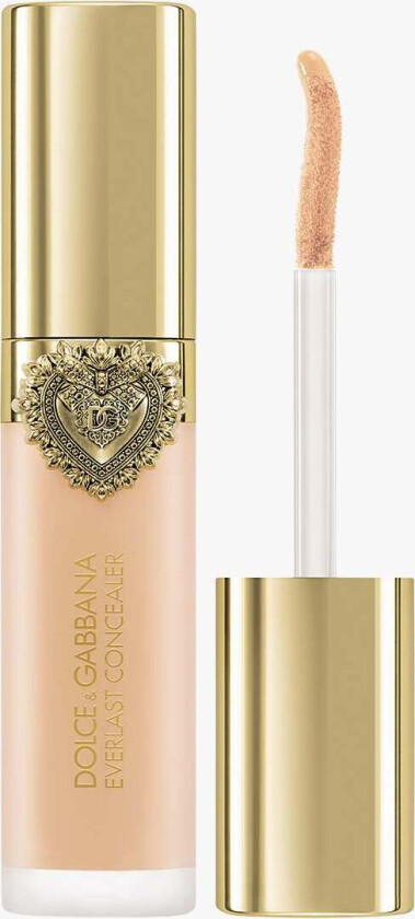 Everlast Concealer 24H Wear Crease-Proof Hydrating 07 Light