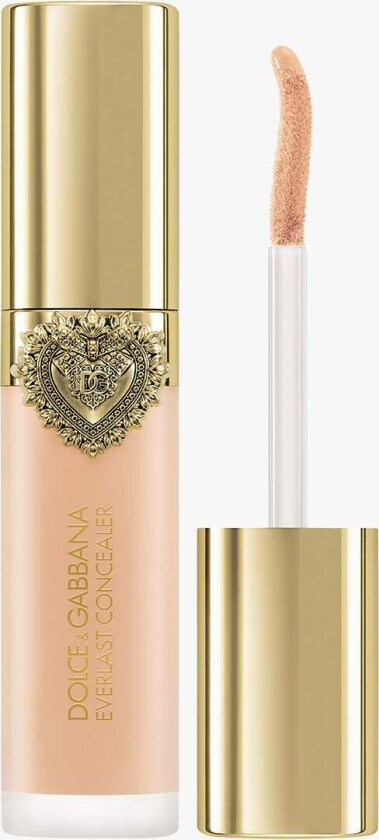 Everlast Concealer 24H Wear Crease-Proof Hydrating 09 Light