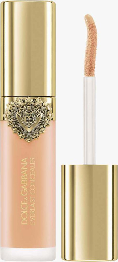 Everlast Concealer 24H Wear Crease-Proof Hydrating 11 Light Medium