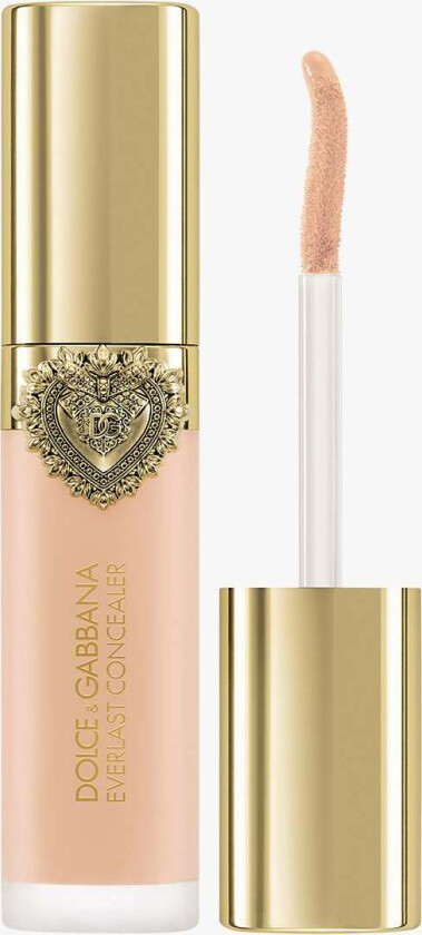 Everlast Concealer 24H Wear Crease-Proof Hydrating 06 Light