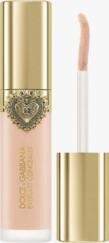 Everlast Concealer 24H Wear Crease-Proof Hydrating 01 Light