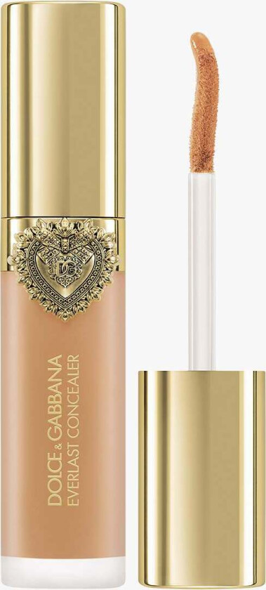 Everlast Concealer 24H Wear Crease-Proof Hydrating 21 Medium