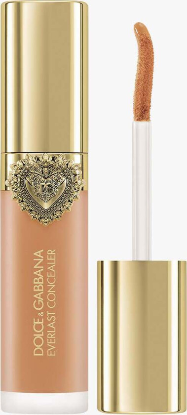 Everlast Concealer 24H Wear Crease-Proof Hydrating 26 Medium Deep