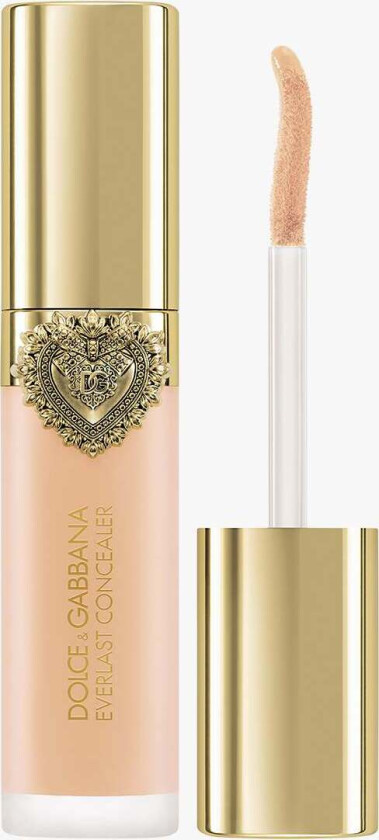 Everlast Concealer 24H Wear Crease-Proof Hydrating 03 Light