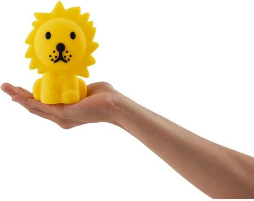 - Lion Bundle Of Light Mr. Maria