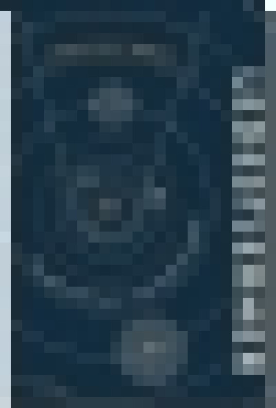 Ledestjerner | Pernille Bøge | Språk: Dansk