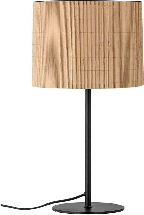 - Terry Bordlampe Nature