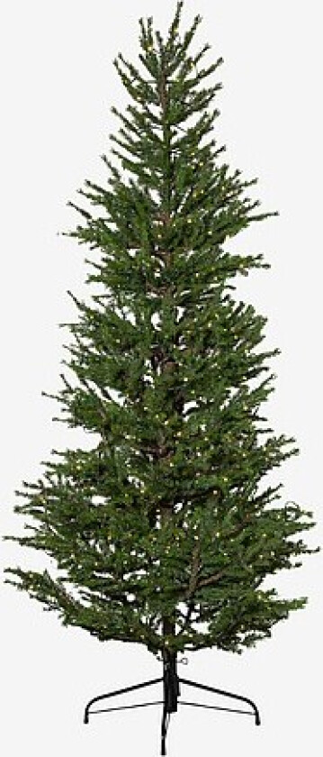 Bilde av Juletre utendørs Malung, 200 cm