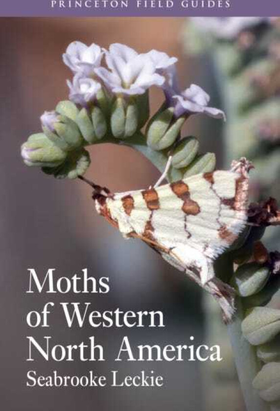 Moths of Western North America