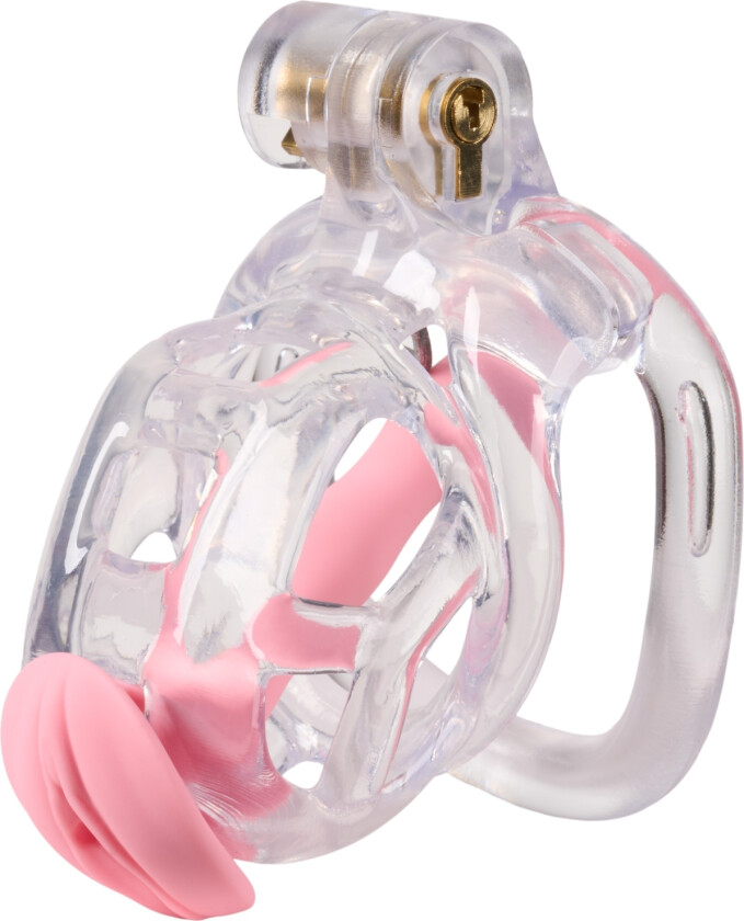 Guardian Kyskhetsbur - Klar