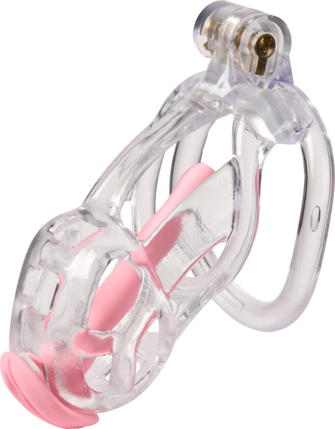 Guardian Kyskhetsbur - Klar