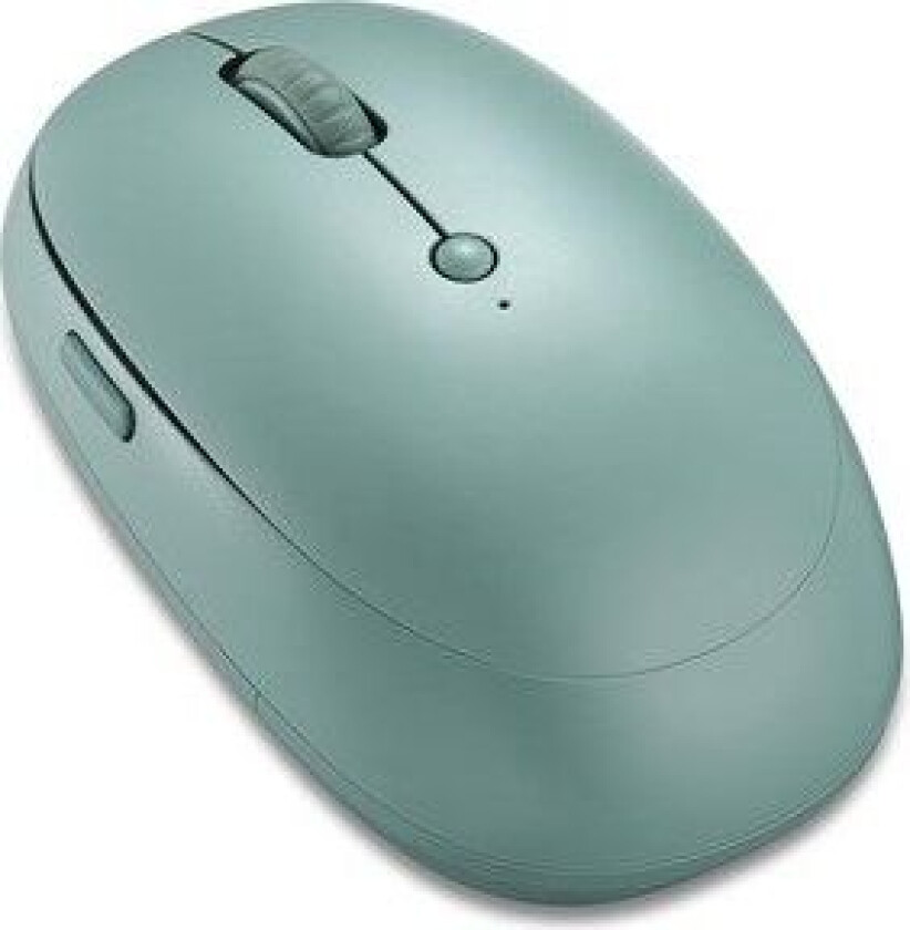 ON WME 200 Sage Leaf - Wireless mouse 2.4G