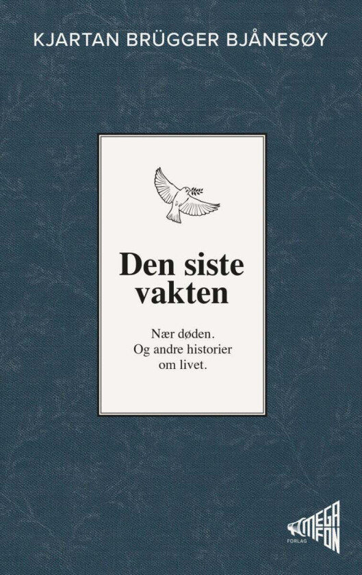 Den siste vakten av Kjartan Brügger Bjånesøy