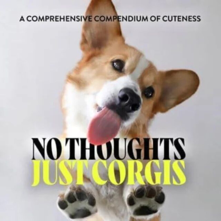 No Thoughts Just Corgis av Union Square & Co.