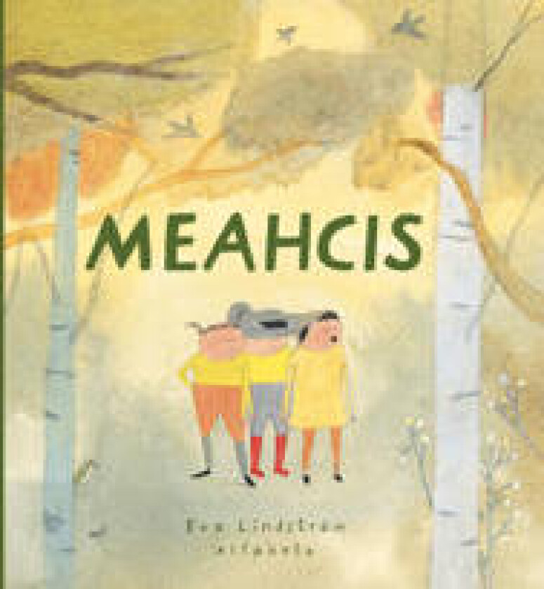 Meahcis