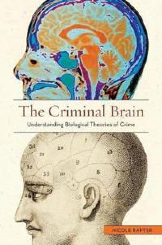 The Criminal Brain
